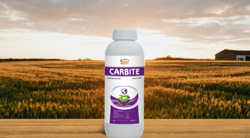 Carbite