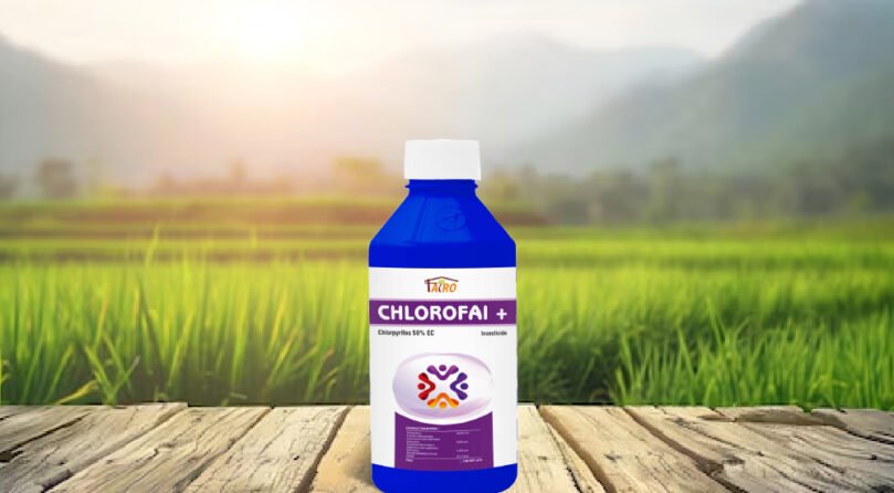 Chlorofai+