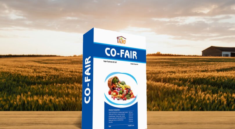 Co-Fair