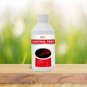 Control Pest