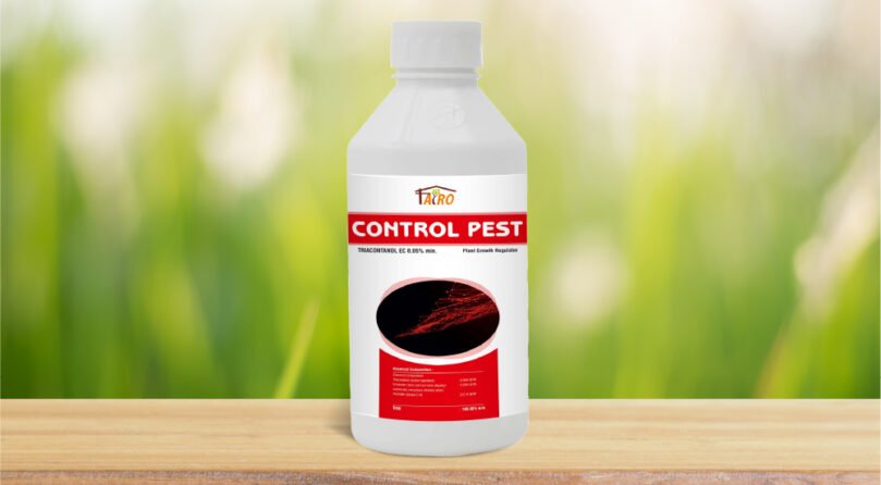 Control Pest