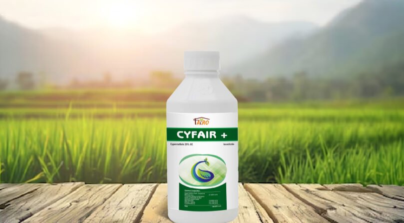 Cyfair+