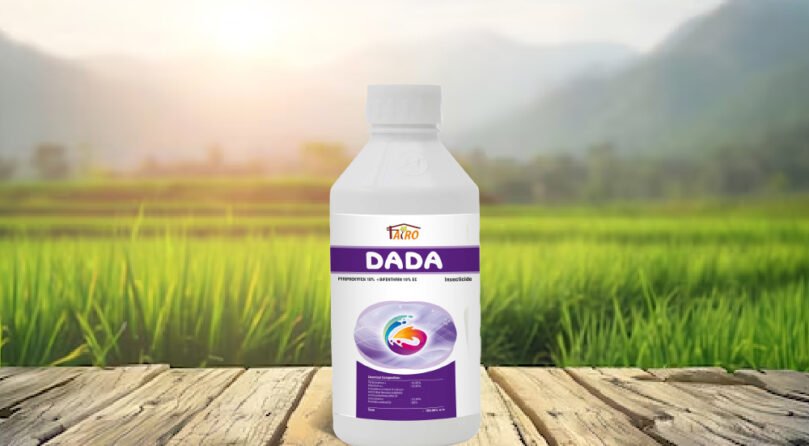 DADA