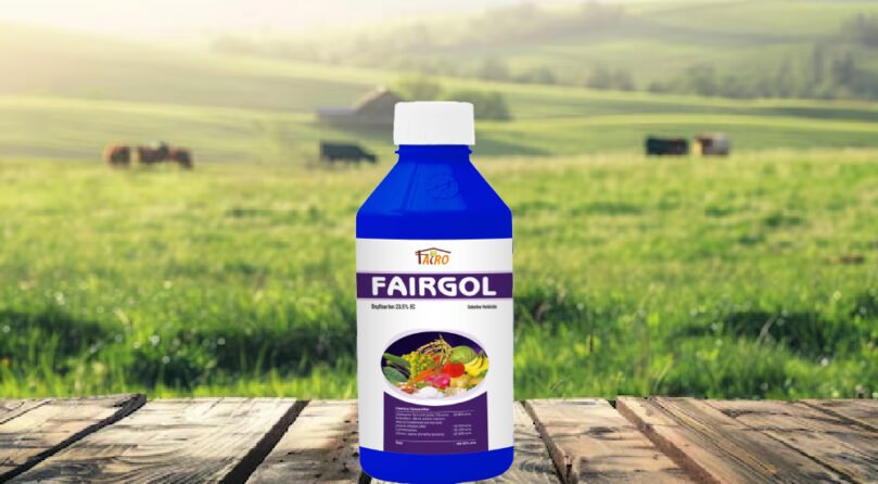 Fairgol