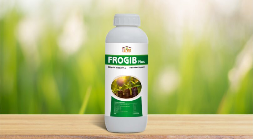 Frogib Plus