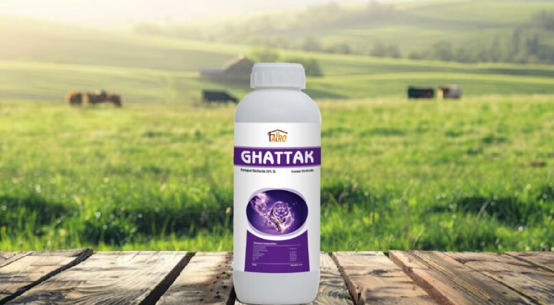 Ghattak