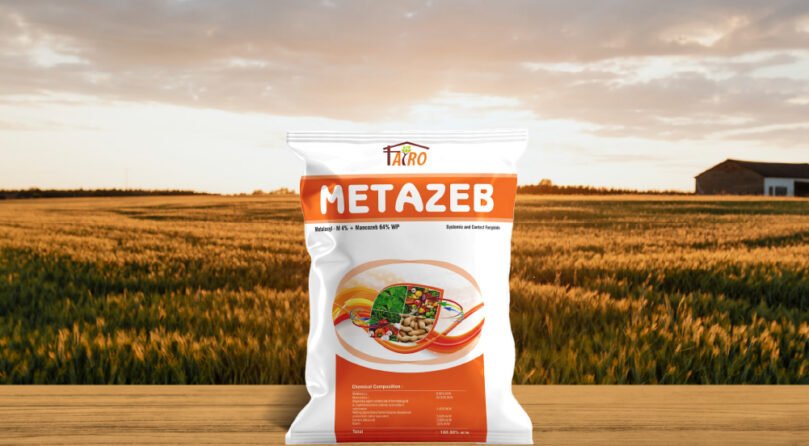 Metazeb