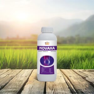 Novaxa