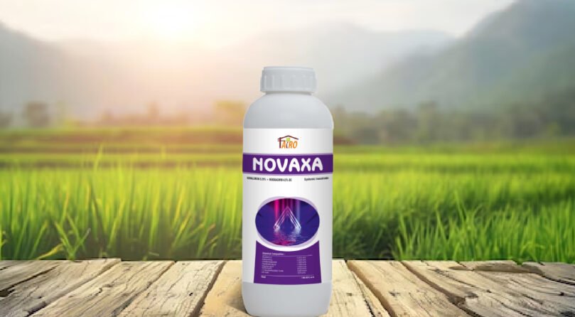 Novaxa