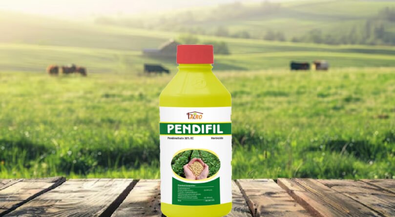 Pendifil