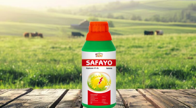 Safayo