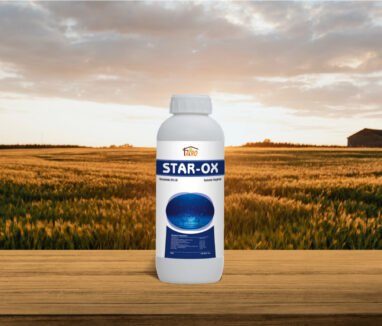 Star-OX