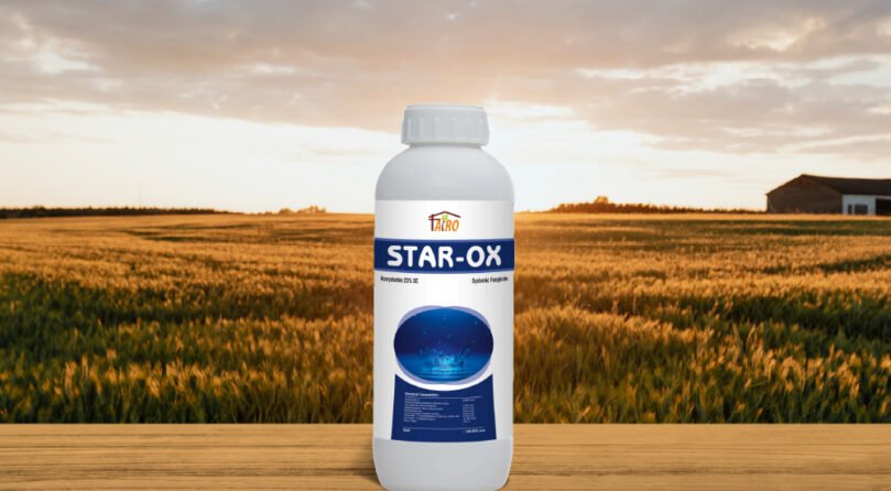 Star-OX