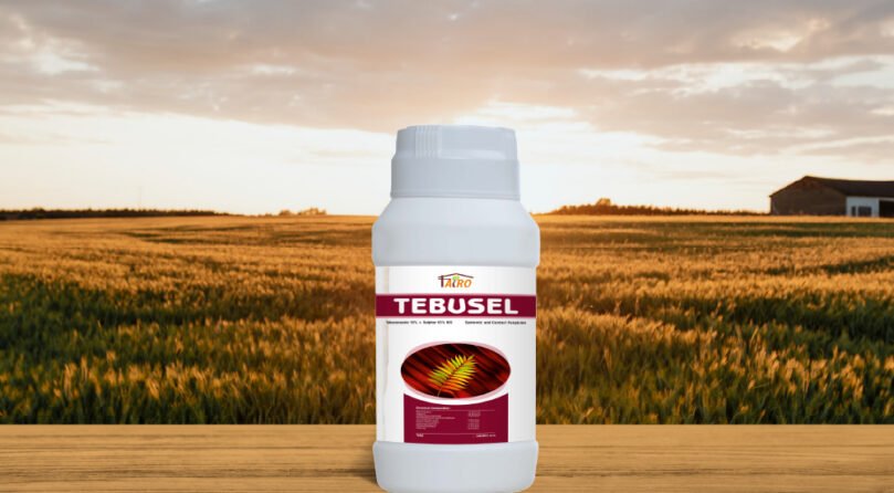 Tebusel